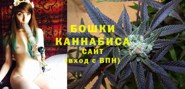 дживик Абаза