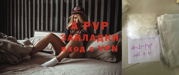 дживик Абаза