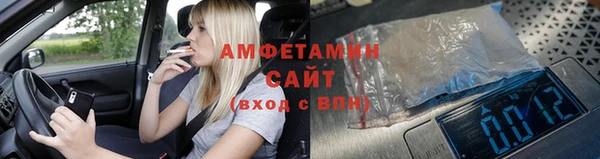 индика Алзамай