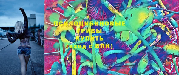 дживик Абаза